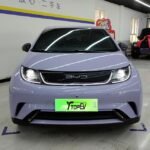 BYD Dolphin 2026 Freedom Edition