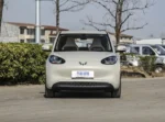 2026 Wuling Bingo Electric 430km Car