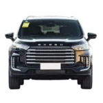 Exeed Vx Gasoline Power 5door 7seat Large SUV Luxury Appearance