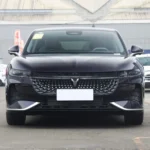 Voyah Passion Phev New Car